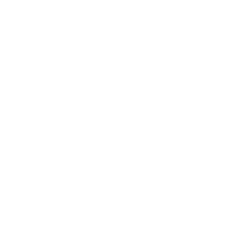 pp_1-INM