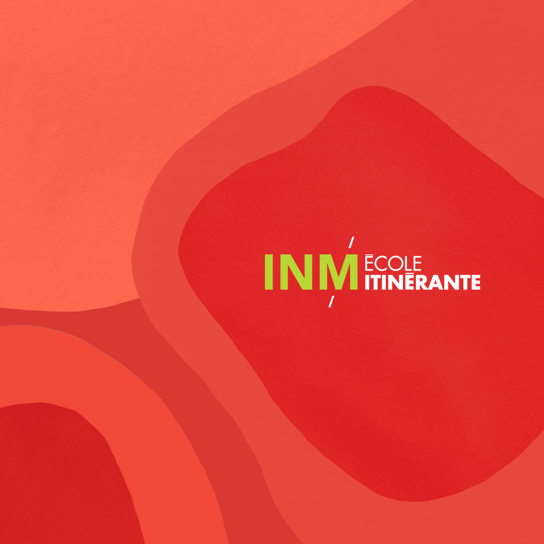 DJVE_declinaisonsRS_ecoleInfluence-ecole itinerante_IG_1080x1080
