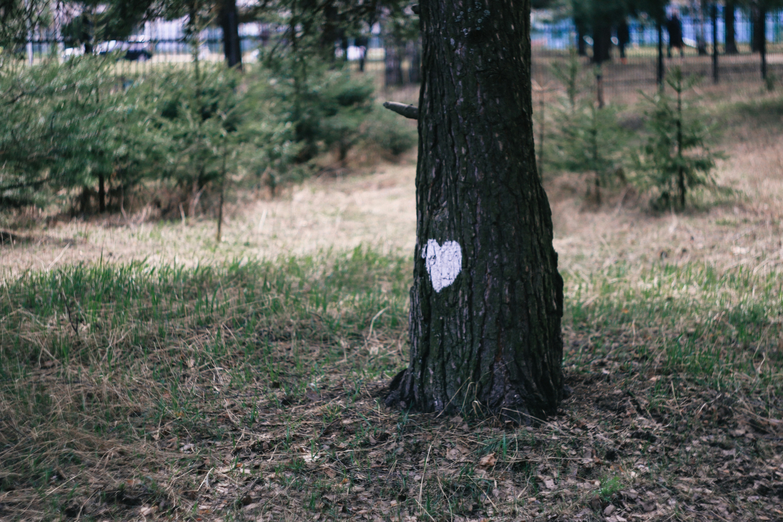 olga-deeva-vkz4TkXxV58-unsplash